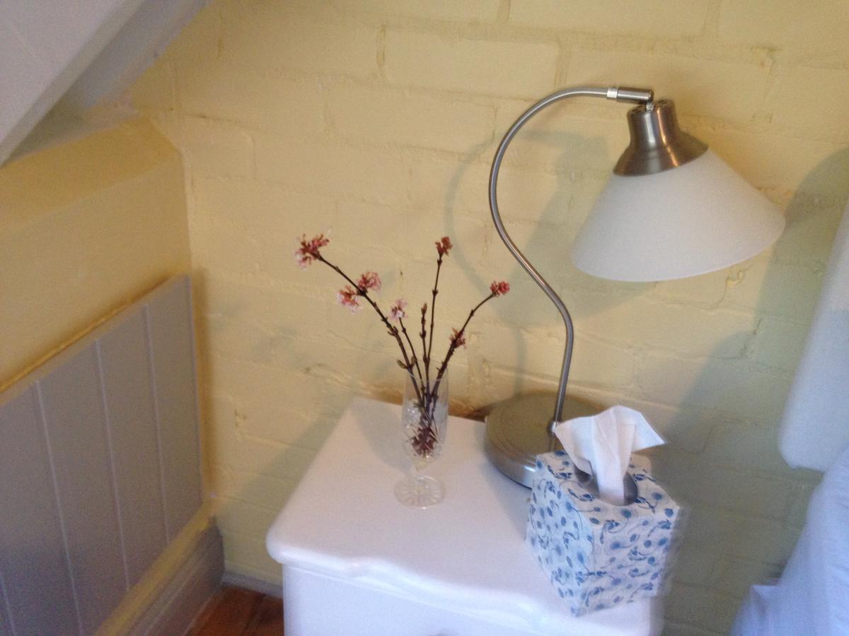 St Benedicts Byre B&B Crowhurst  Buitenkant foto